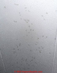 dark spotty stains on popcorn ceiling (C) InspectApedia.com SDV