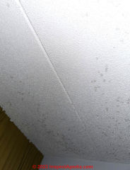 dark spotty stains on popcorn ceiling (C) InspectApedia.com SDV