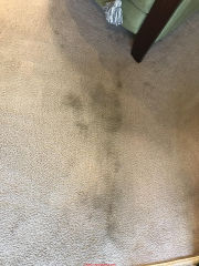Stain keeps coming back on this light carpet (C) InspectApedia.com Cj