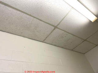apparent leak stains on school ceiling panels (C) InspectApedia.com Helen