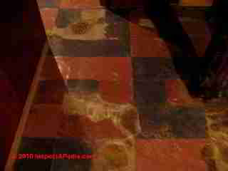 Sears vinyl asbestos floor tiles (C) Daniel Friedman A Cramer