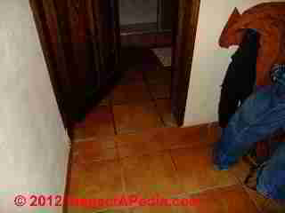 Stair trip slip and fall hazard example - using color cues (C) Daniel Friedman