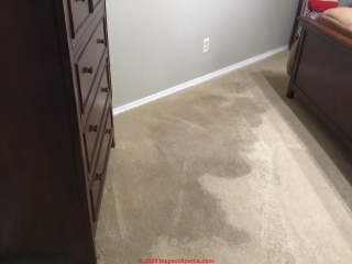 Stains in multiple areas on carpet in Texas (C) InspectApedia.com Lori