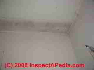 Ceiling stain where insulation was left out (C) Daniel Friedman