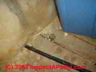 UFFI insulation behind plaster lath (C) Daniel Friedman