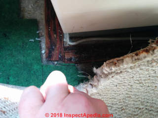 Wet carpet and padding left in building is unsafe - mold risk (C) InspectApedia.com Abby