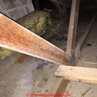 White mold on roof truss and signs of wet attic (C) InspectApedia.com Randy