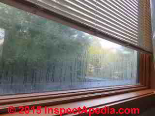Condensation on exterior of an insulated glass window in New York (C) Daniel Friedman