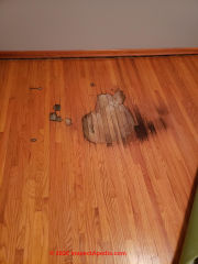 Water or pet urine damage to a wood floor revealed when carpet taken up (C) InspectApedia.com CJ