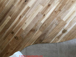 Recurring dark spots on wood floor (C) InspectApedia.com Danny