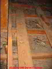 Photograph: toxic mold on pine tongue and groove roof sheathing -  &copy; Daniel Friedman
