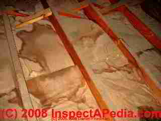 attic stains from roof leaks