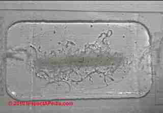 Air-O-Cell and Allergenco-D cassette Trace Comparison (C) Daniel Friedman