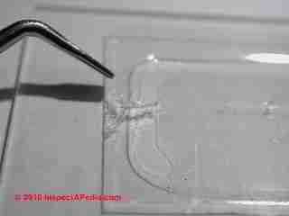 Air-O-Cell and Allergenco-D cassette Trace Comparison (C) Daniel Friedman