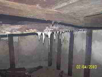 Moldy sub basement, rot, flooding (C) David Gruzinski Daniel Friedman