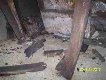 Black  moldy sub basement (C) D Friedman D Grudzinski
