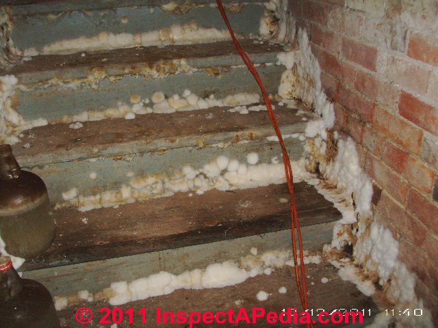Basement Mold How to Find & Test for Mold in Basements A 'how to' photo and text primer on