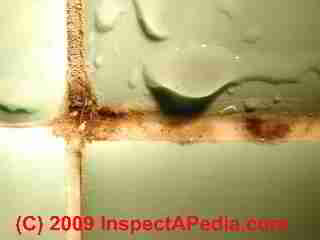 Bath tile mold closeup (C) Daniel Friedman