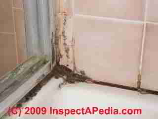 Bathroom mold (C) Daniel Friedman