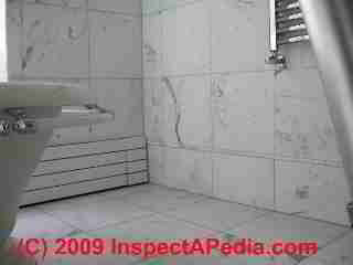 Marble wall mold in a bathroom (C) Daniel Friedman