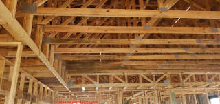 cosmetic mold on roofing framing lumber (C) InspectApedia.com Net