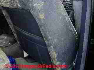 Car mold severe, beyond cleaning (C) Daniel Friedman