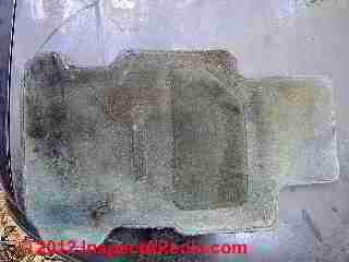 Moldy car floor mat (C) D Friedman