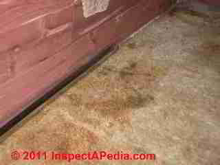 Photo of mold on cedar lining of a closet (toxic)  (C) Daniel Friedman