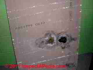 Photo of mold on the upper (hidden) surface of suspended ceiling tiles below a leak (C) Daniel Friedman