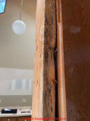 dark growth on framing lumber (C) InspectApedia.com Archie