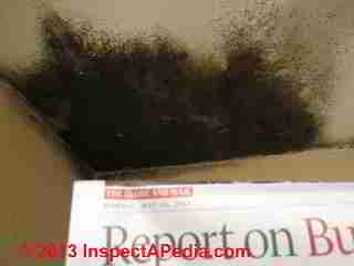 Drywall mold on ceiling (C) InspectAPedia - LY