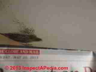Ceiling mold (C) InspectAPedia LY