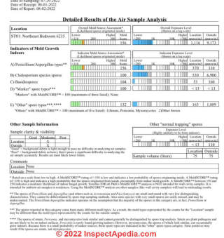 Mold count report (C) InspectApedia.com Nicole