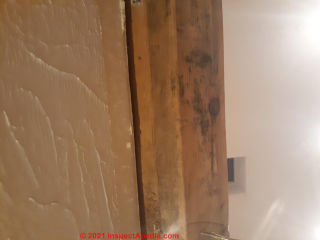 Mold stains on wood - what to do (C) InspectApedia.com Jesse