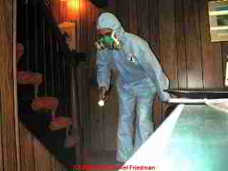 Photograph: a professional toxic mold investigator is shown here properly dressed and wearing a respirator, but missing gloves, as he begins to inspect a very moldy basement -  &copy; Daniel Friedman