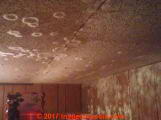 Extensive mold contamination in this mobile home renders it uninhabitable (C) InspectApedia.com MA