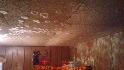 Extensive mold contamination in this mobile home renders it uninhabitable (C) InspectApedia.com MA