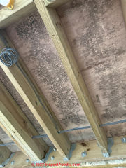 moldy plywood under roof (C) InspectApedia.com Craigmans