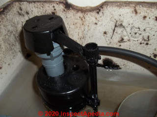 Thick dark mold growing in the toilet cistern or toilet tank (C) InspectApedia.com Reader