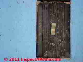 Photo of mold on plastic light switch coverC) Daniel Friedman