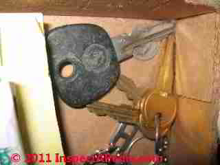 Photo of mold on plastic car key (C) Daniel Friedman