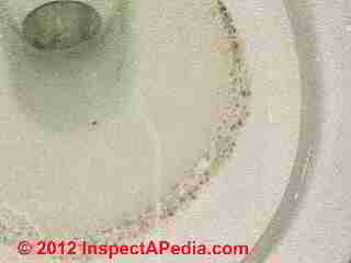 Photo of mold on ceramic wall tile grout joint (C) Daniel Friedman