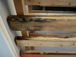 reused wood with mold growth on it (C) InspectApedia.com