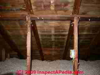 Roof mold photo (C) Daniel Friedman