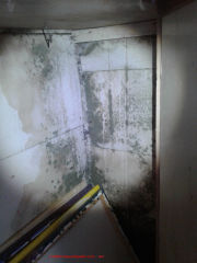 Severe mold contamination, further investigation is needed (C) InspectApedia.com Hart