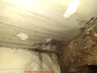 Severe indoor harmful mold contamination (C) InspectApedia.com Logan