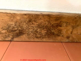 mold on wood (C) InspectApedia.com Pavla