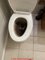 Clogged overflowing toilet is unsanitary - a health hazard (C) InspectApedia.com Backupb 