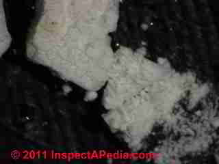 White debris in water, lab test (C) Daniel Friedman