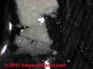 White debris in water, lab test (C) Daniel Friedman